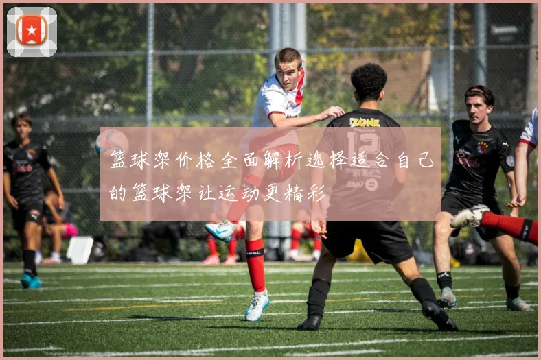 篮球架价格全面解析选择适合自己的篮球架让运动更精彩