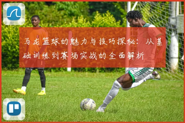 马龙篮球的魅力与技巧探秘：从基础训练到赛场实战的全面解析