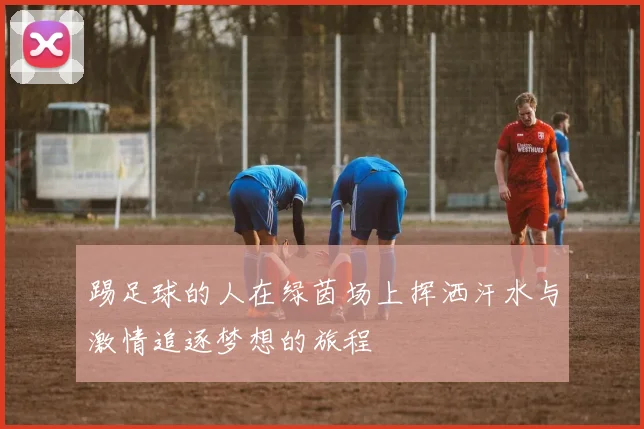 踢足球的人在绿茵场上挥洒汗水与激情追逐梦想的旅程