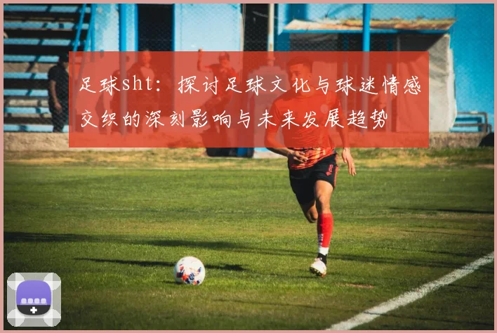 足球sht：探讨足球文化与球迷情感交织的深刻影响与未来发展趋势