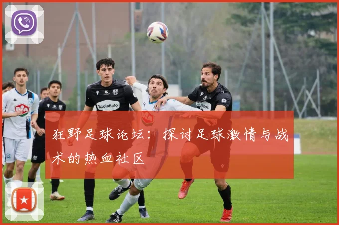 狂野足球论坛：探讨足球激情与战术的热血社区