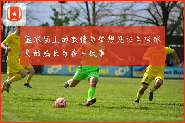 篮球场上的激情与梦想见证年轻球员的成长与奋斗故事